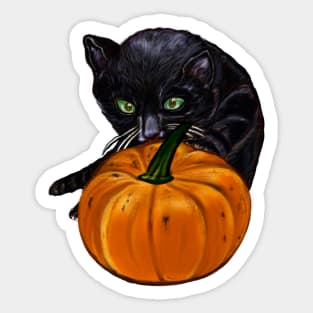 Pumpkin and black cat in Autmn Sticker